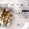 Translation in Practice